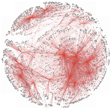 brain functional network