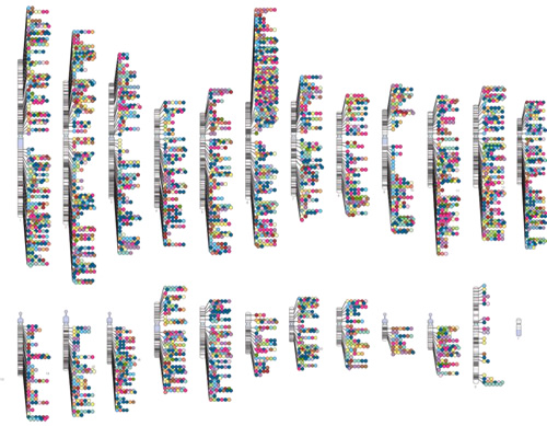 genome-wide assocation studies